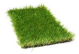 Artificial Grass